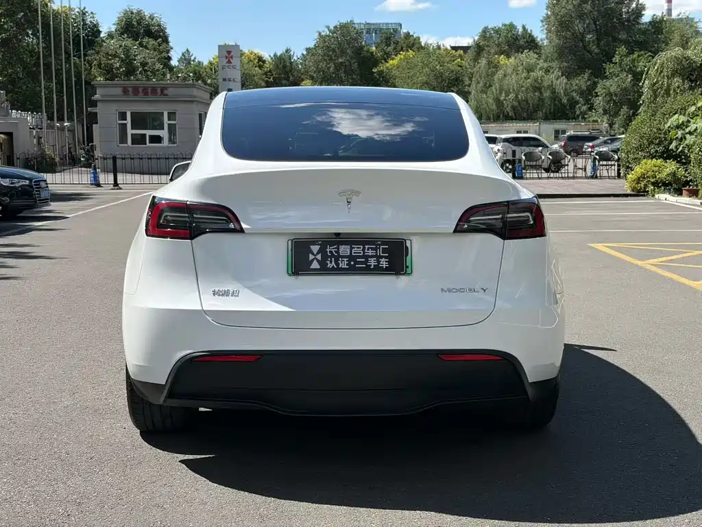 Tesla Model Y 2023 — фото 6