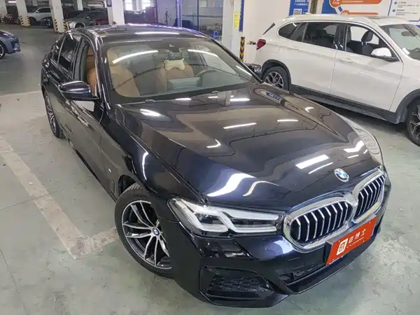 BMW 5 Series 2020
