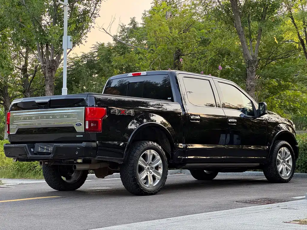 Ford F-150 Raptor 2020 — фото 8
