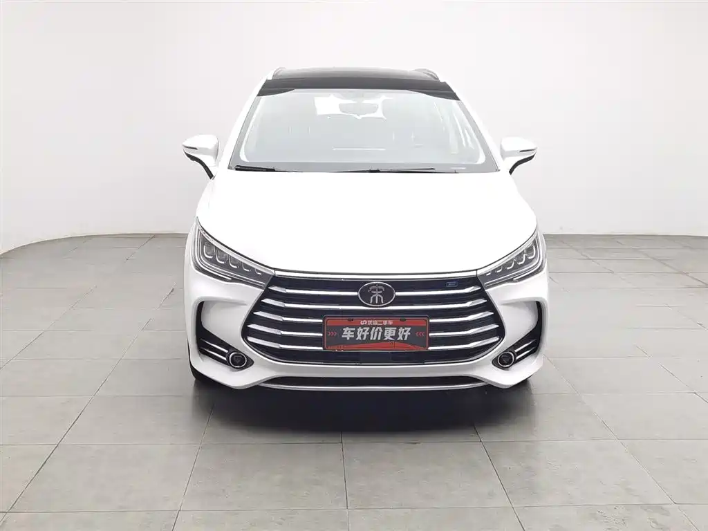 BYD MAX 2019