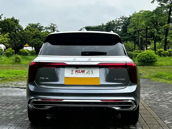 Hongqi E-HS9 2023