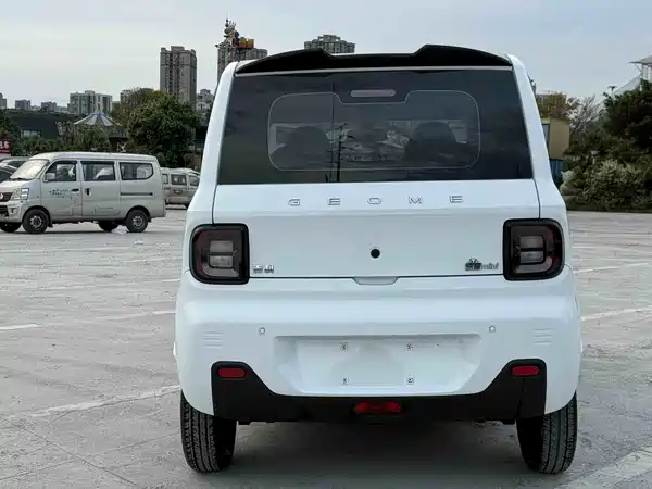 Geely Galaxy Panda 2024