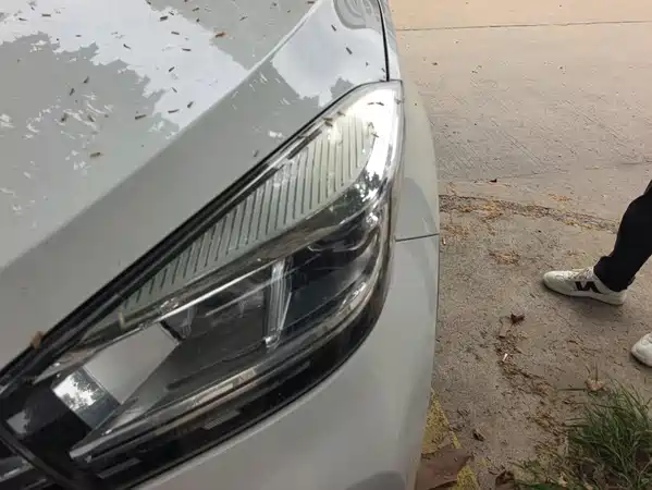 Chery Tiggo 5x 2019