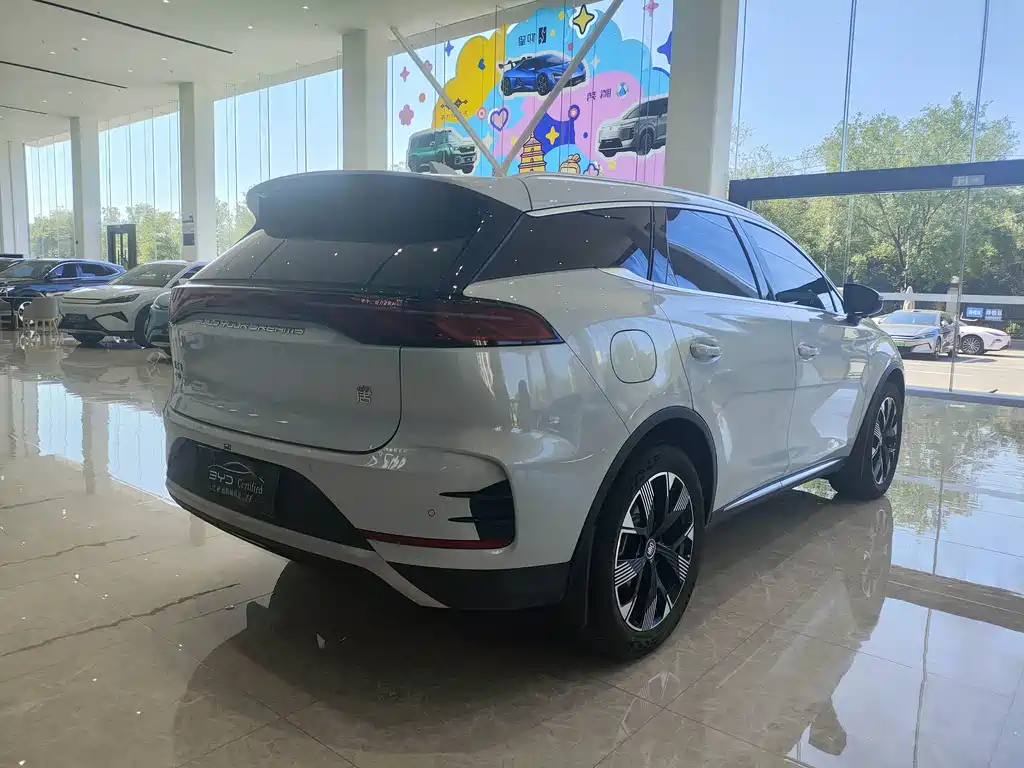 BYD Tang New Energy 2024