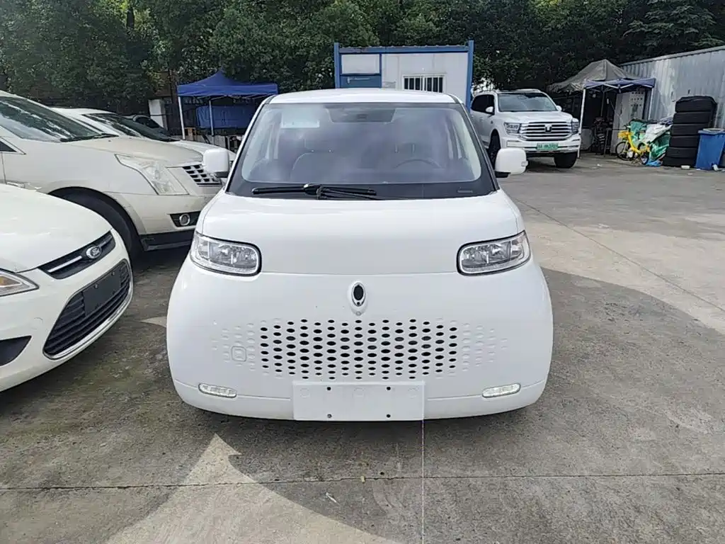 Ora White Cat 2021