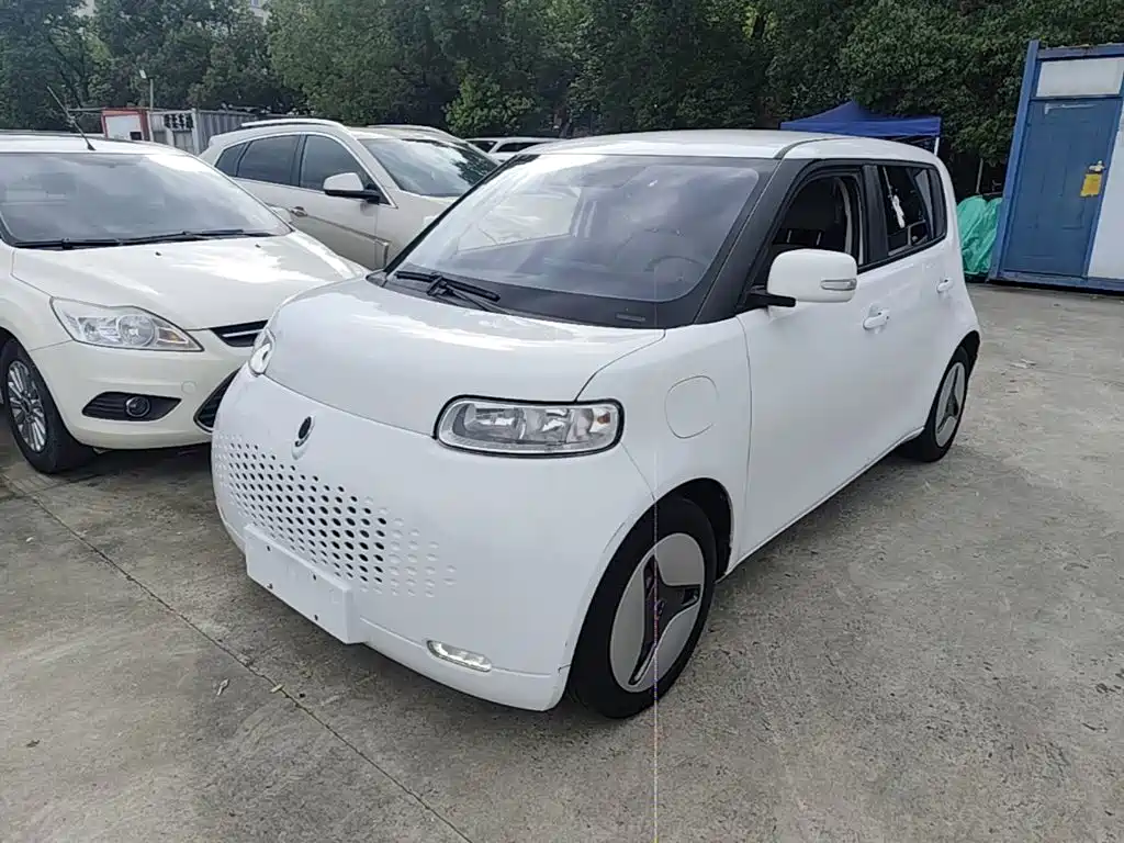 Ora White Cat 2021