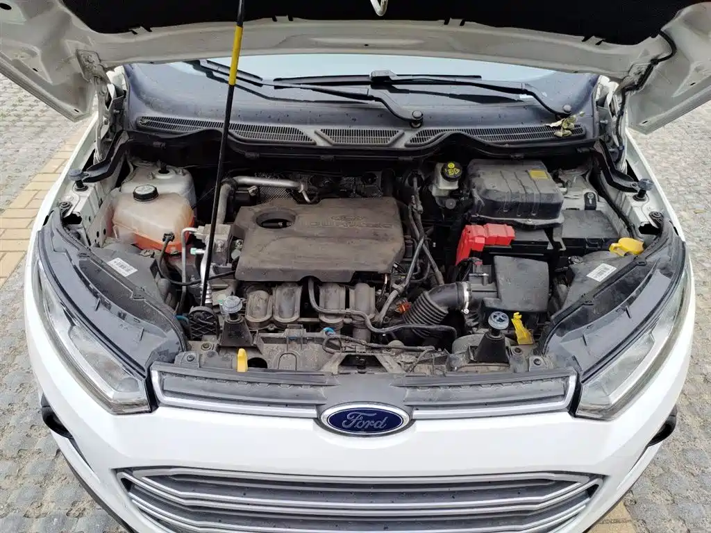 Ford Ecosport 2015 — фото 16