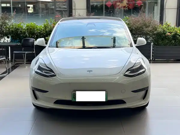 Tesla Model 3 2020