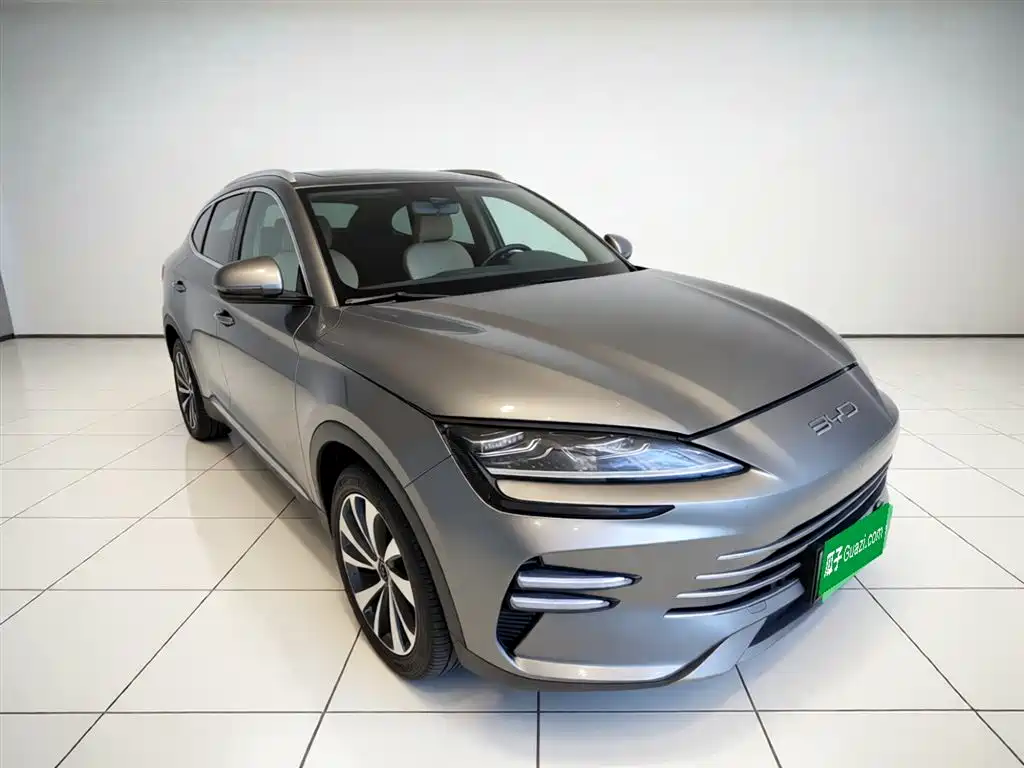 BYD PLUS New Energy 2023 — фото 3
