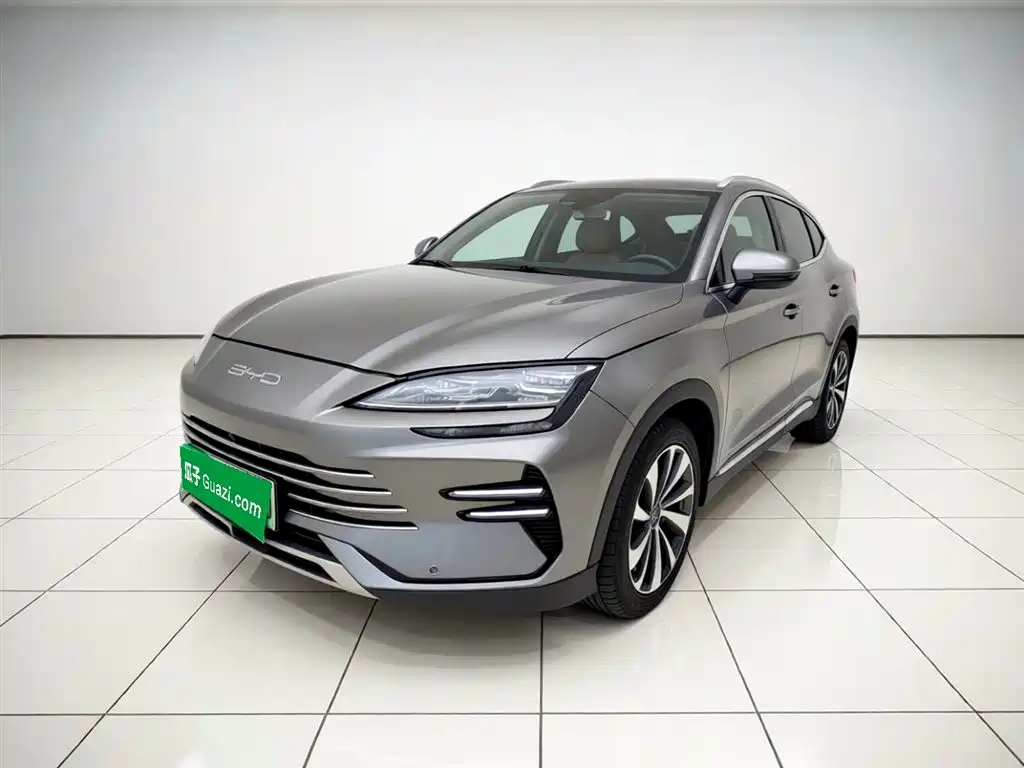 BYD PLUS New Energy 2023 — фото 1