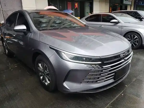 BYD Destroyer 05 2024