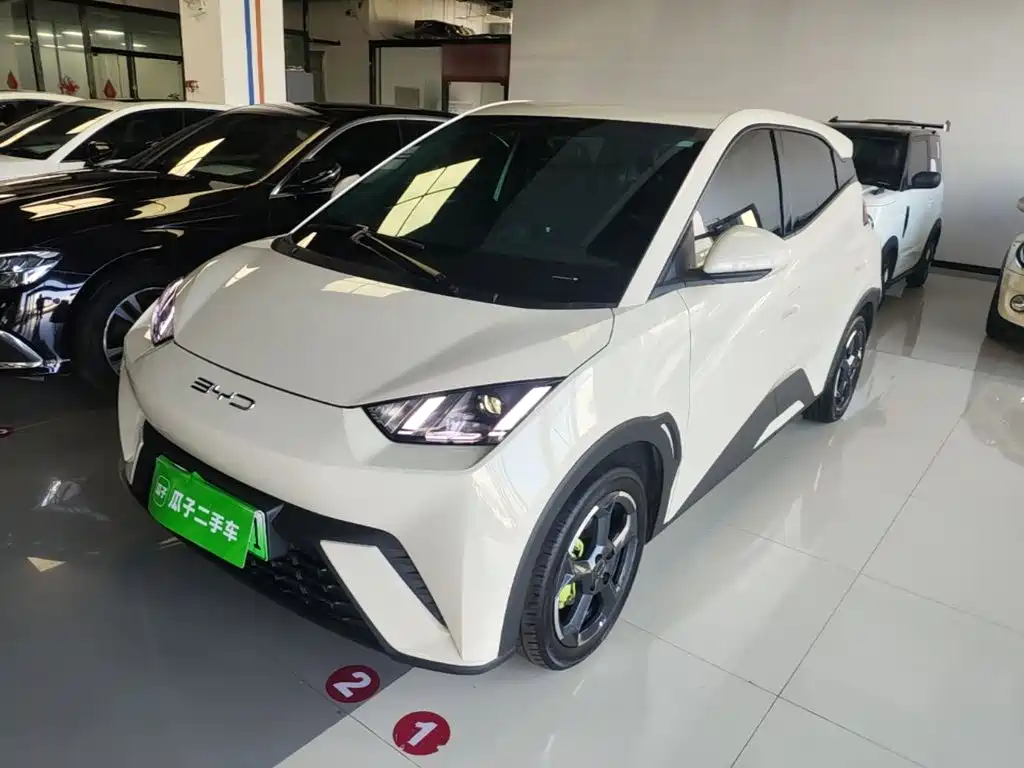 BYD Seagull 2024
