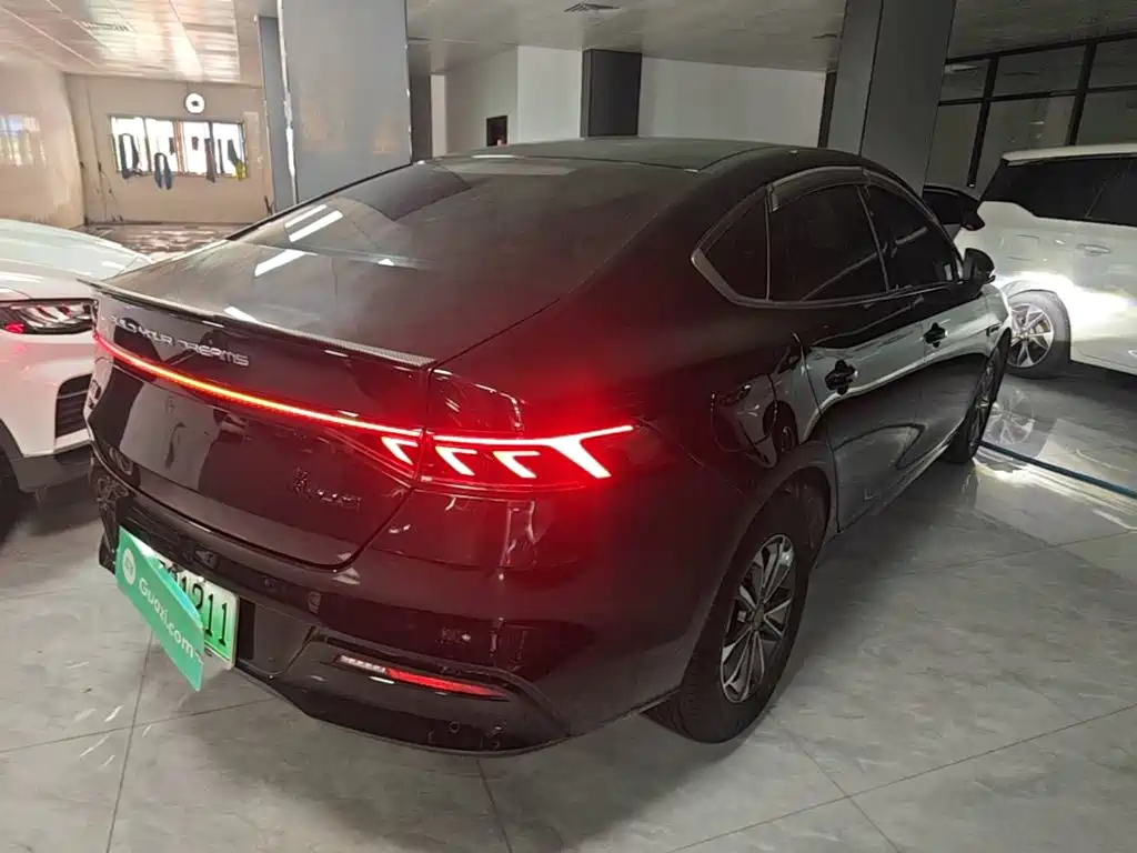 BYD Qin PLUS 2024