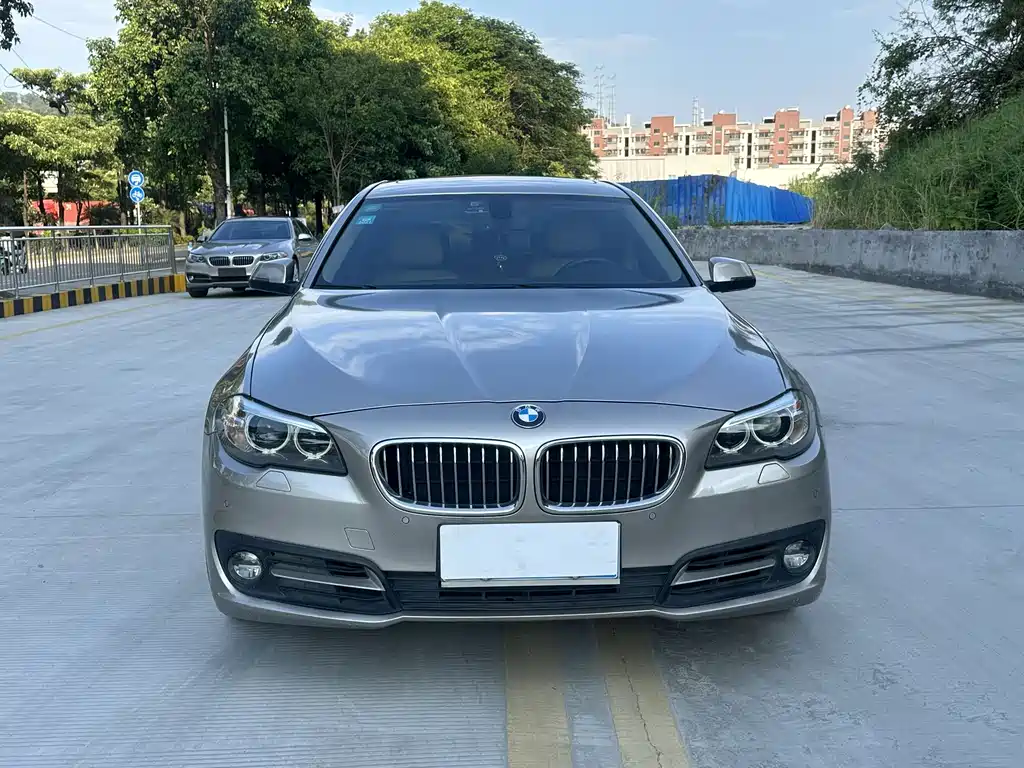 BMW 5 Series 2014 — фото 2