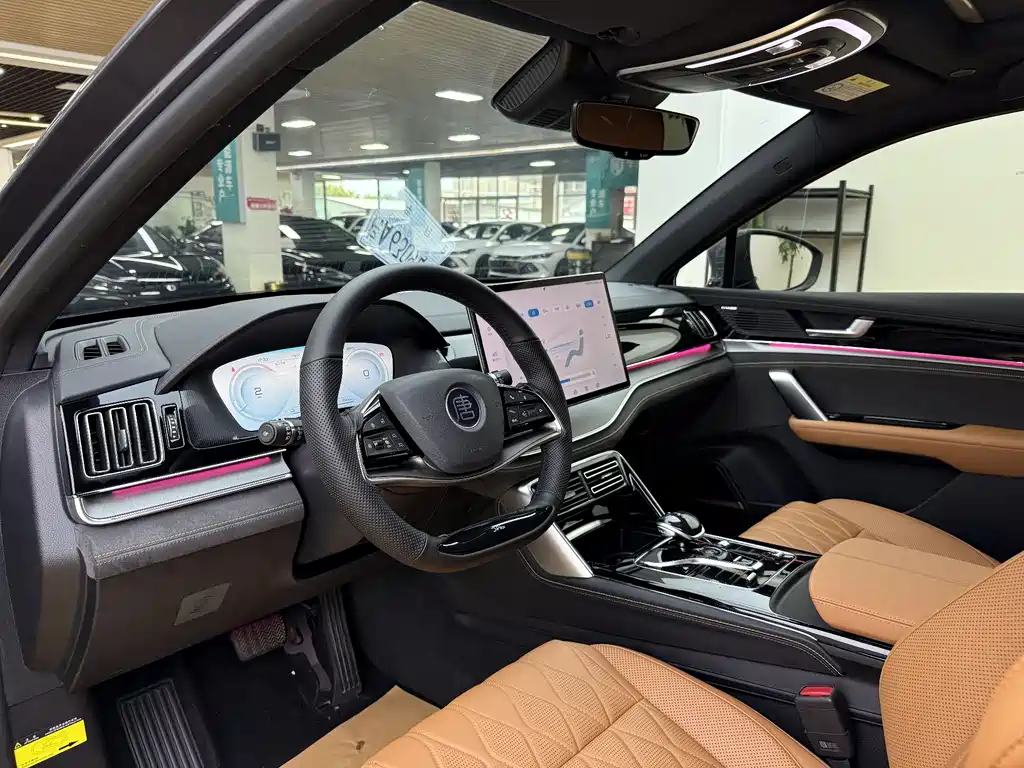 BYD Tang New Energy 2024