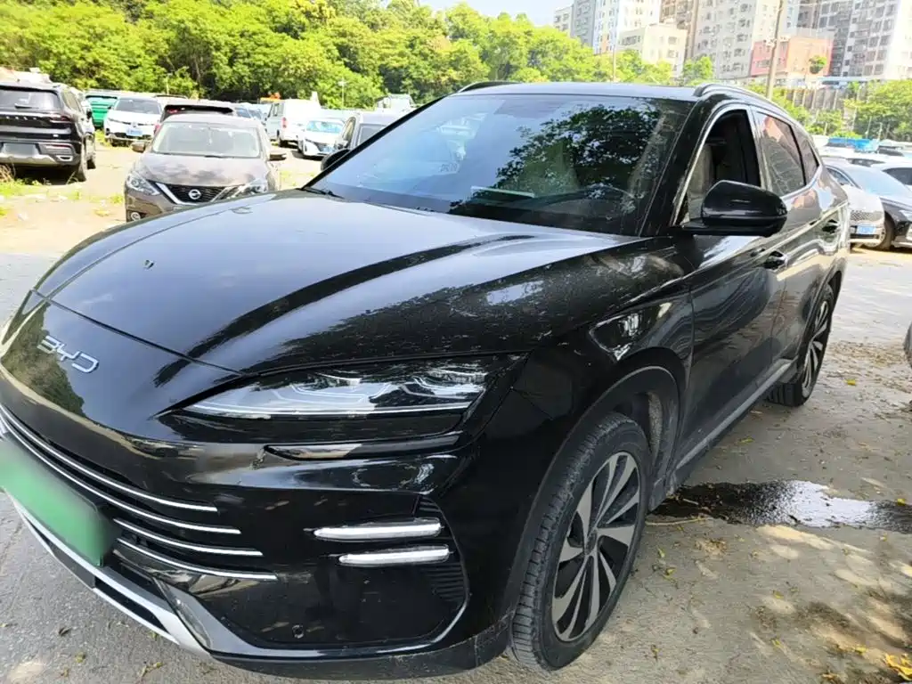 BYD Song PLUS New Energy 2024 — фото 1