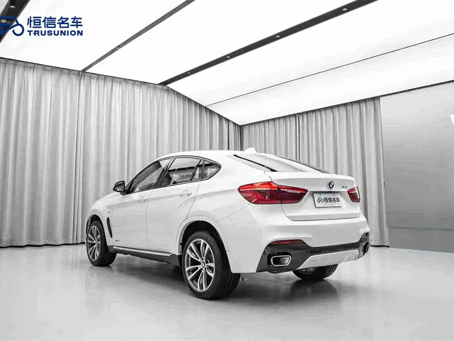 BMW X6 2019 — фото 7