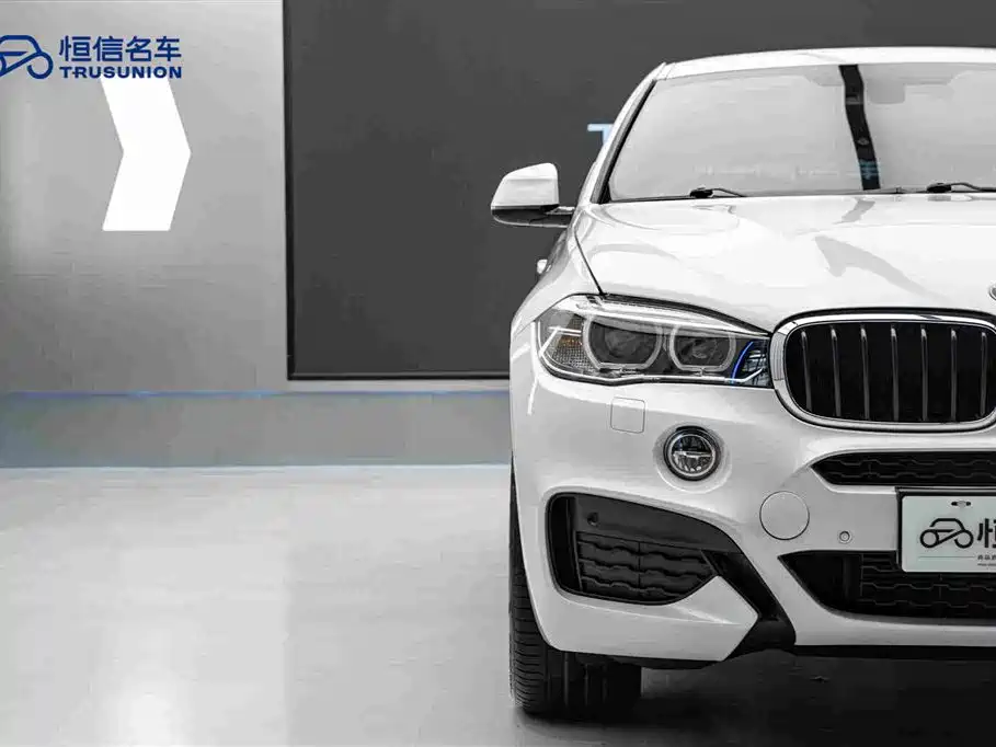 BMW X6 2019 — фото 8