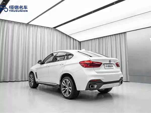 BMW X6 2019