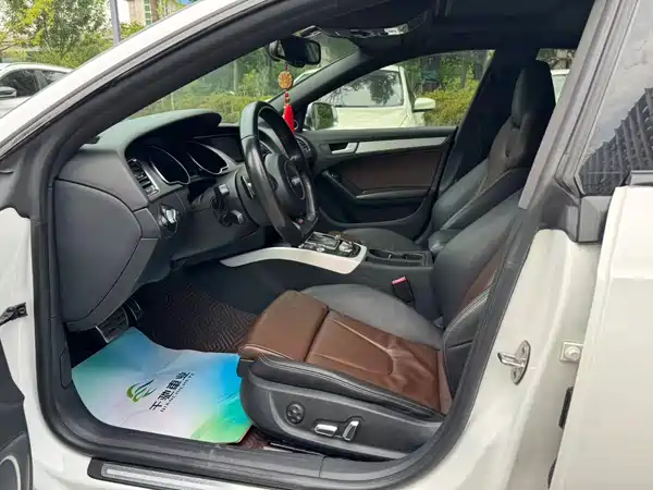Audi S5 2013
