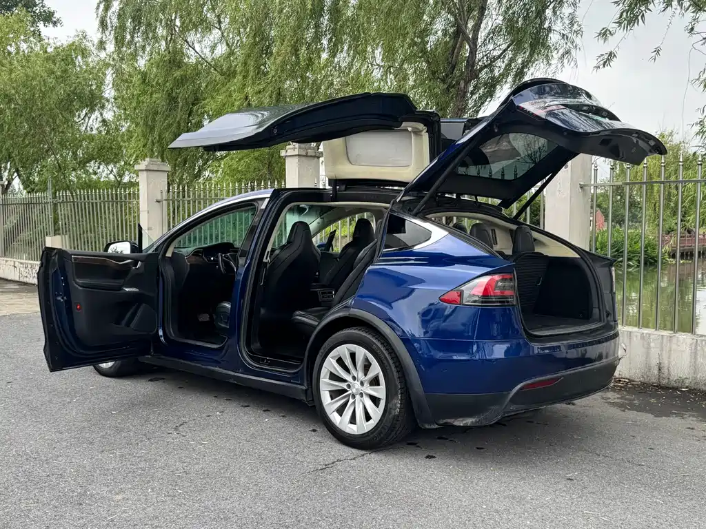 Tesla Model X 2017 — фото 18