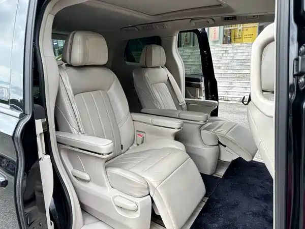 GAC Trumpchi M8 2019