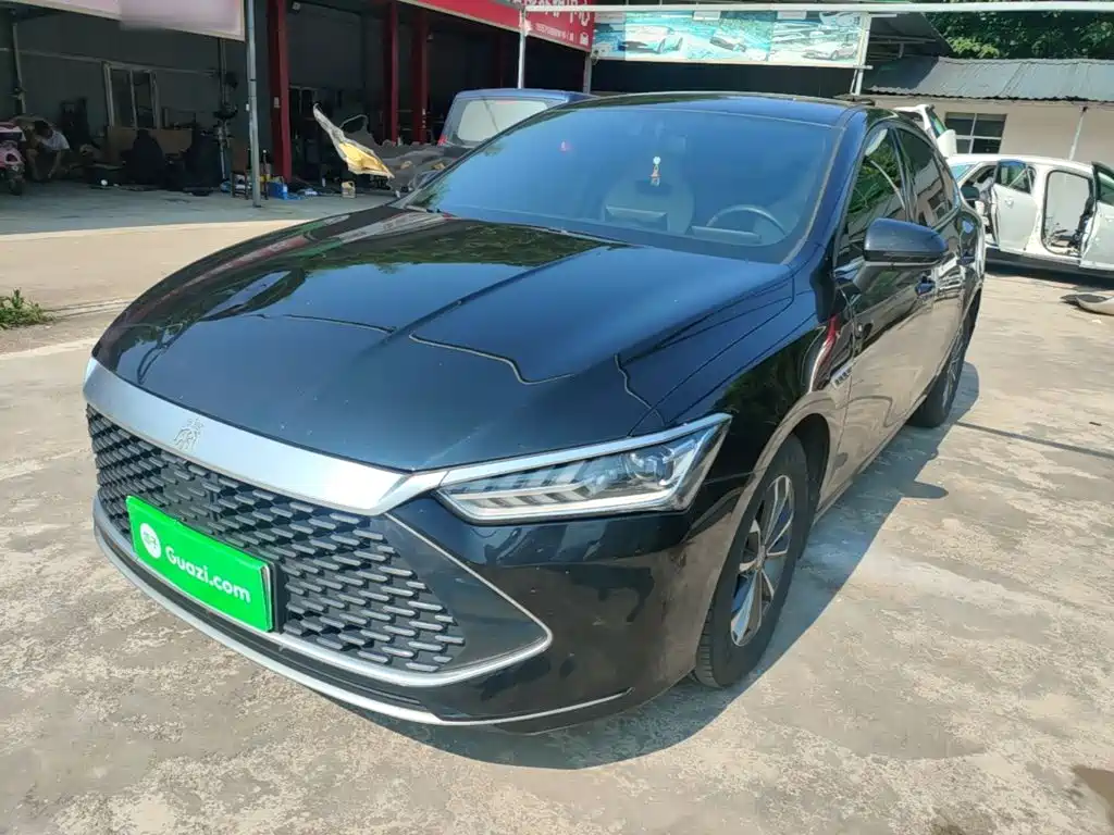 BYD Qin PLUS 2024 — фото 1