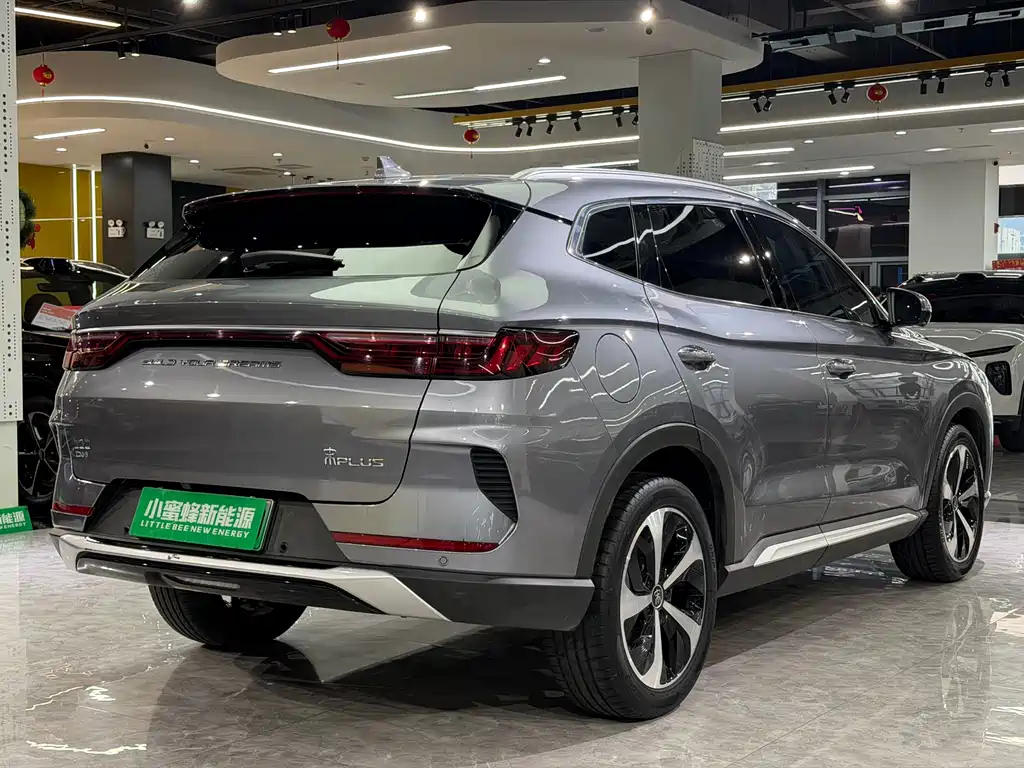 BYD PLUS New Energy 2023 — фото 16