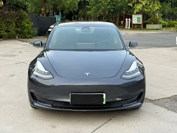 Tesla Model 3 2019