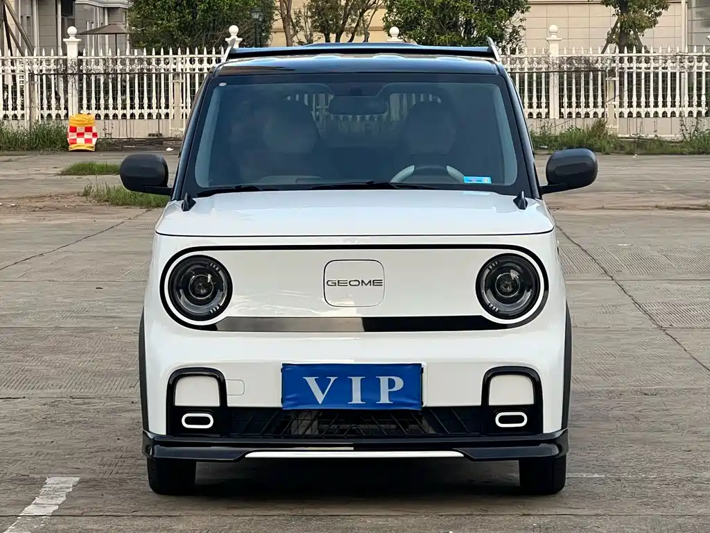 Geely Galaxy Panda 2025 — фото 2