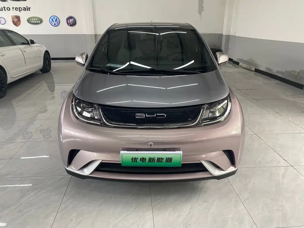 BYD Dolphin 2022