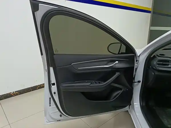 BYD Destroyer 05 2024
