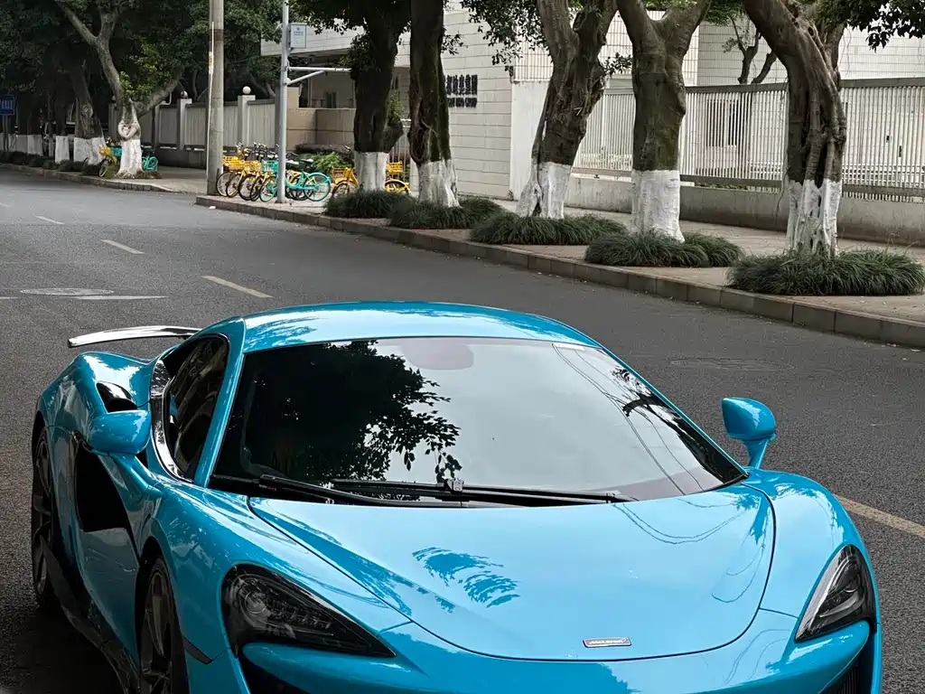McLaren 540C 2017 — фото 13