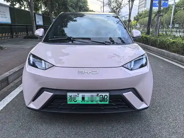 BYD Seagull 2024