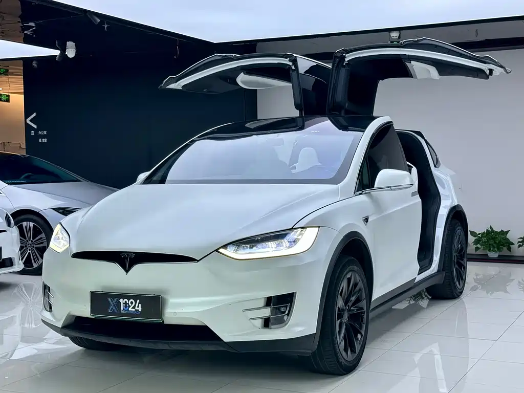 Tesla Model X 2021