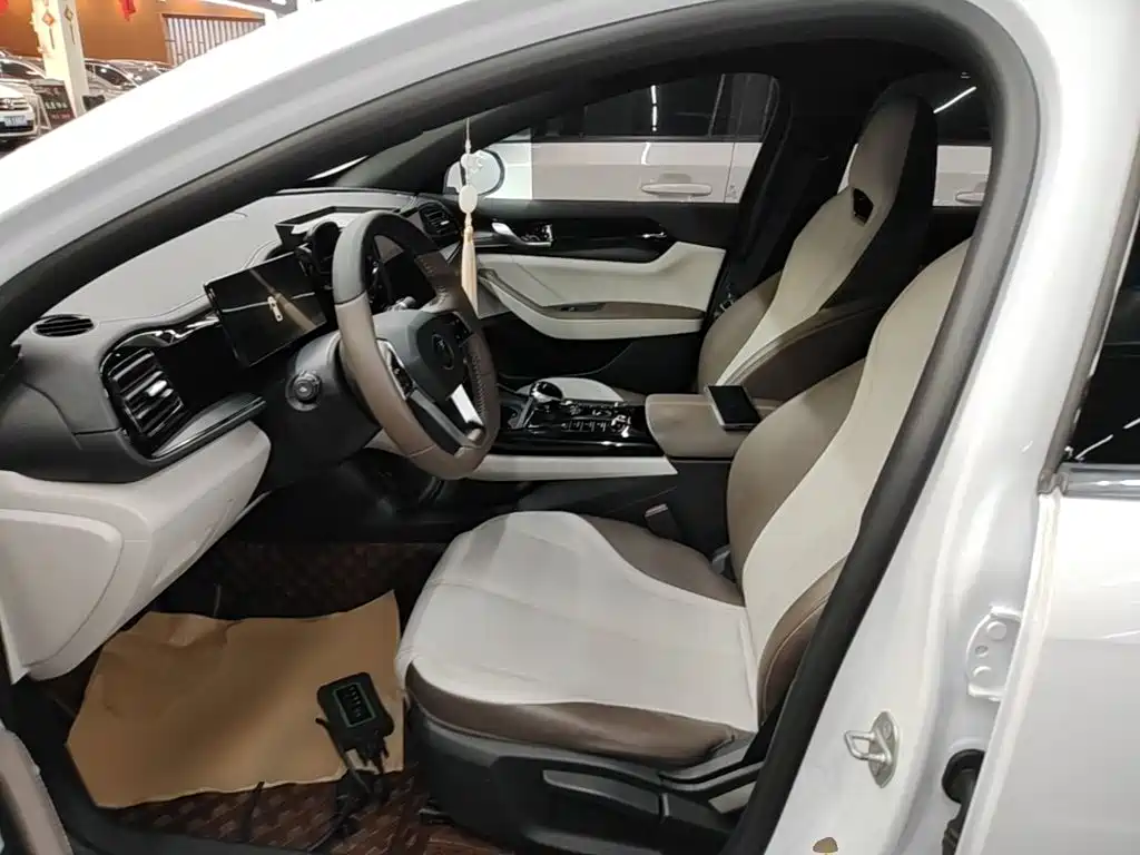 BYD Qin PLUS 2023 — фото 15