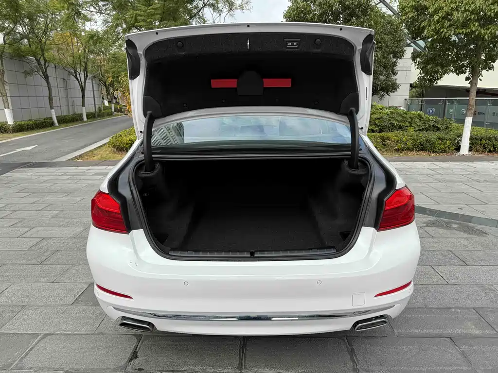 BMW 5 Series 2018 — фото 21