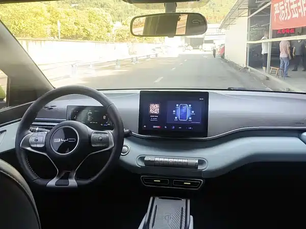 BYD Seagull 2024