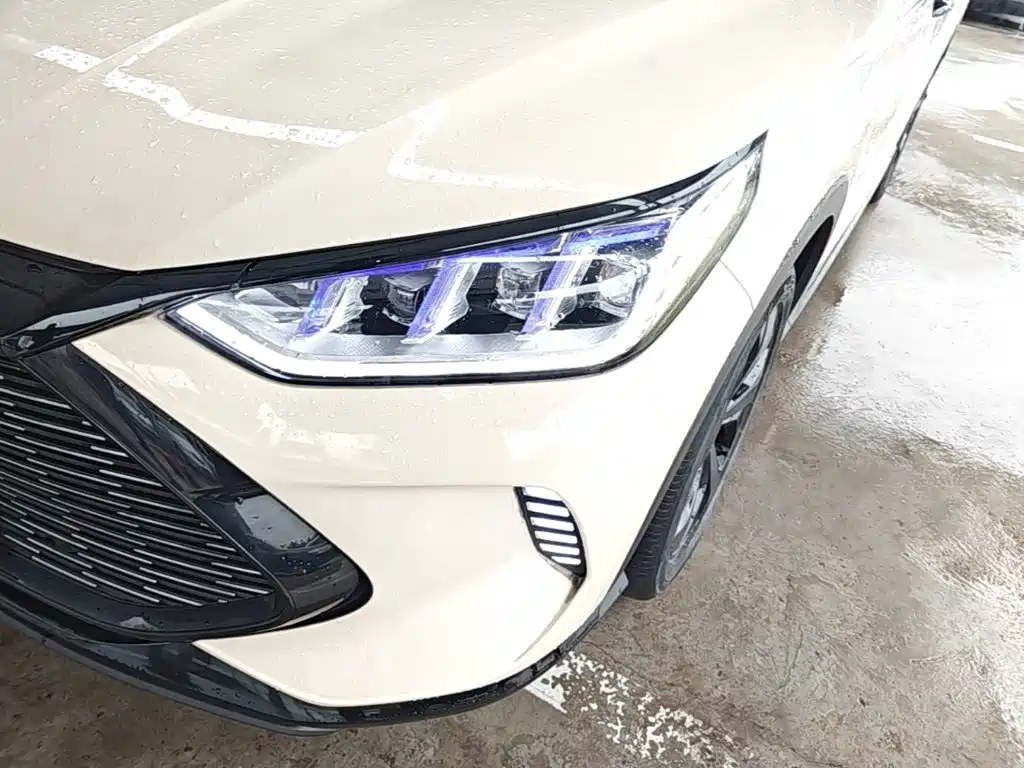 BYD Song PLUS New Energy 2023 — фото 24