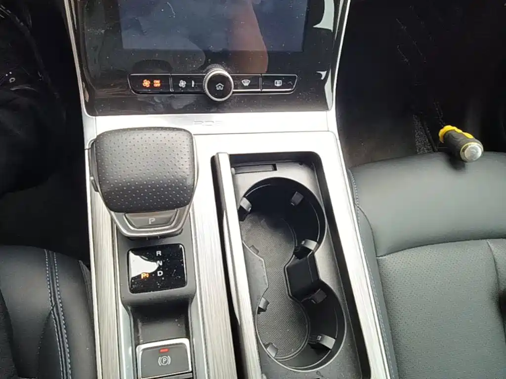 Roewe RX5 New Energy 2020 — фото 14