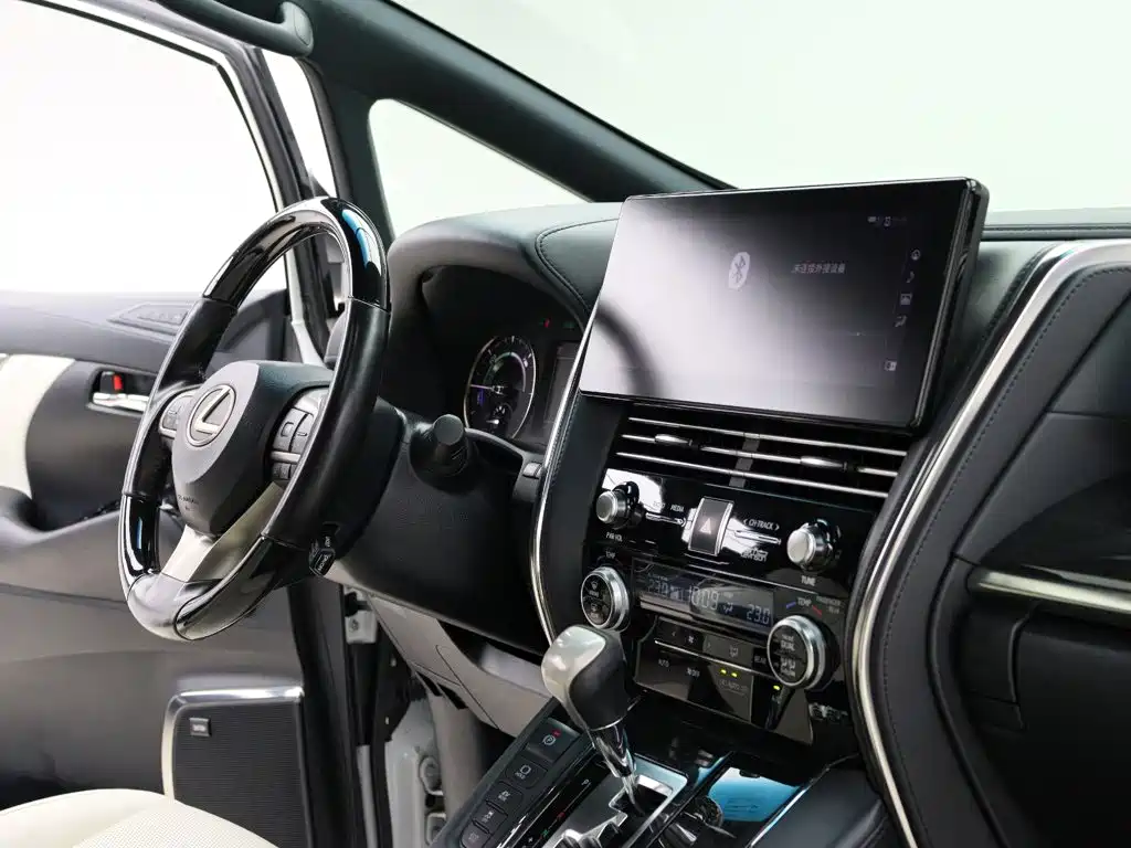 Lexus LM 2020 — фото 17