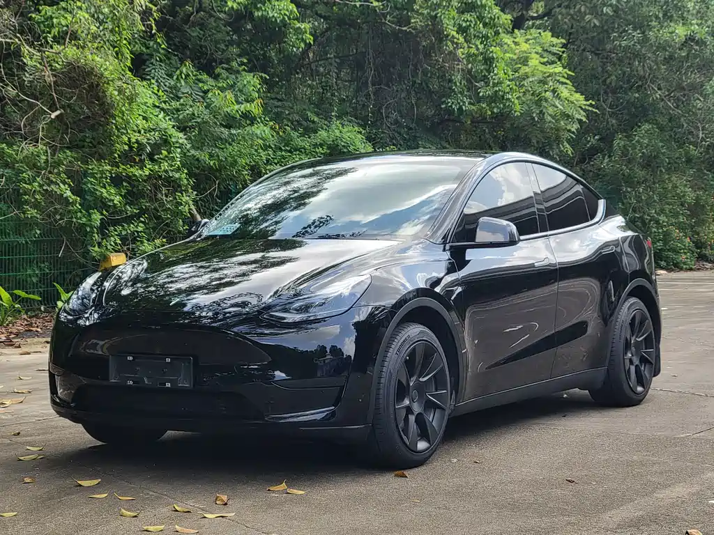 Tesla Model Y 2023 — фото 1