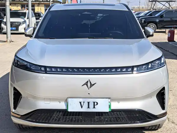 Dongfeng e008 2024