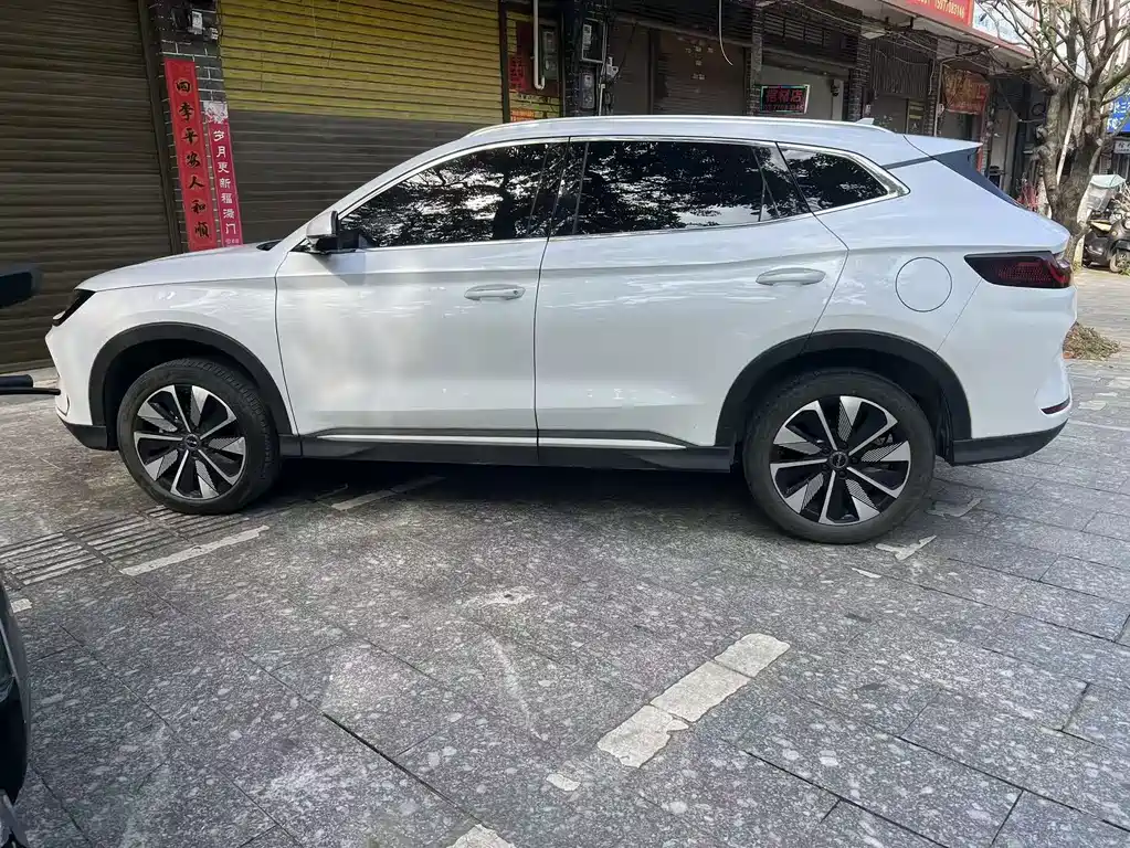 BYD PLUS New Energy 2024 — фото 3