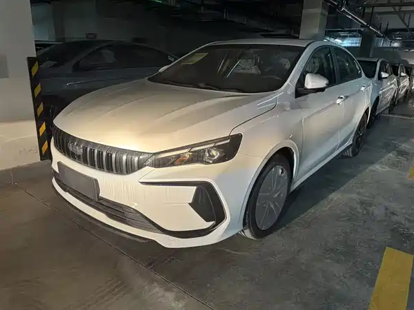 Geely Binrui 2024