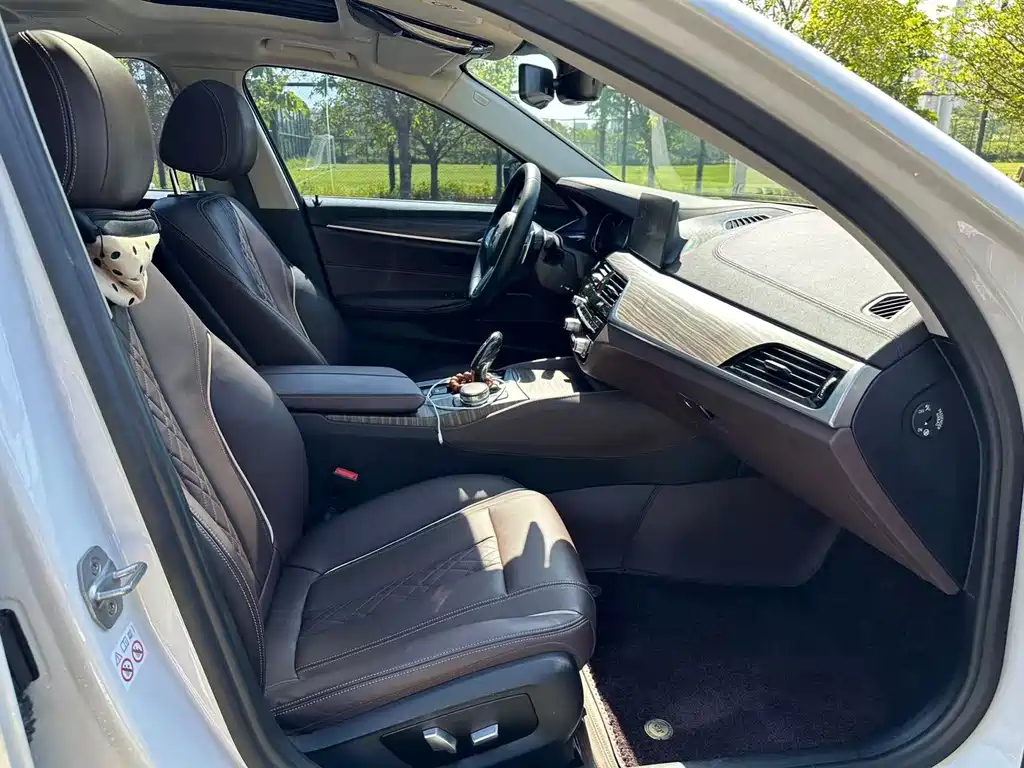 BMW 5 Series 2018 — фото 13
