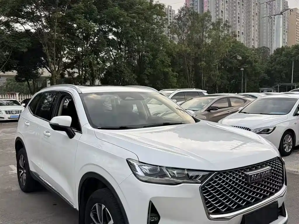 Haval H6 2021 — фото 13