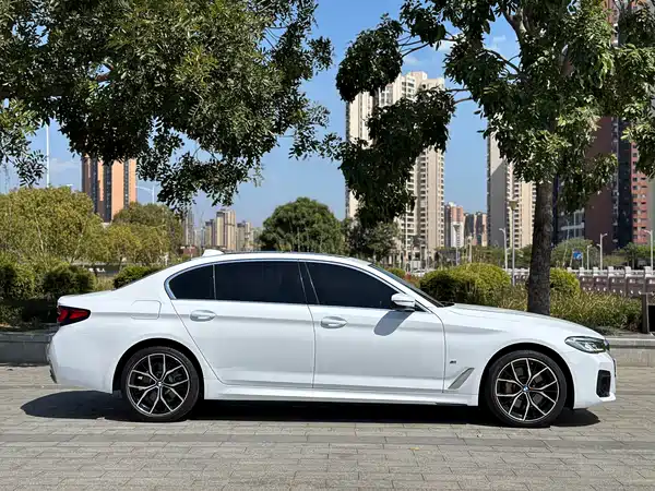 BMW 5 Series 2021