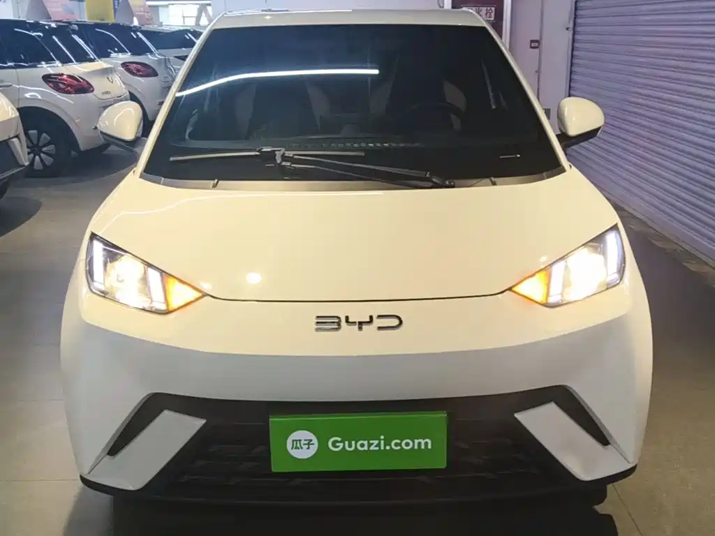 BYD Seagull 2024