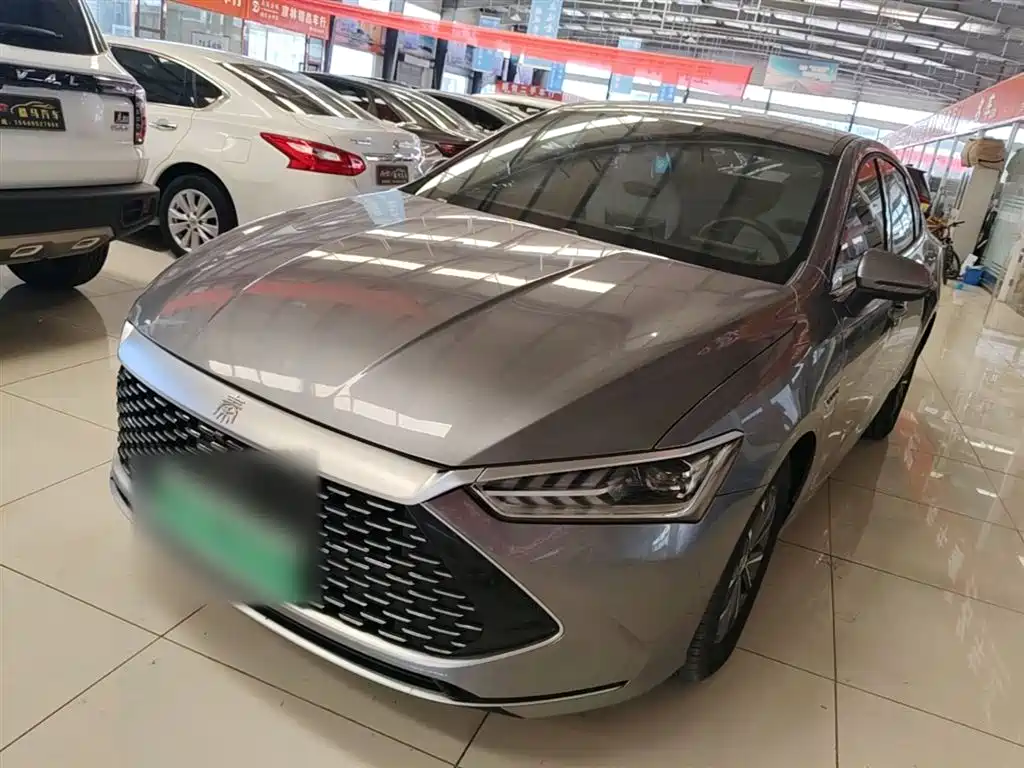 BYD Qin PLUS 2024 — фото 1
